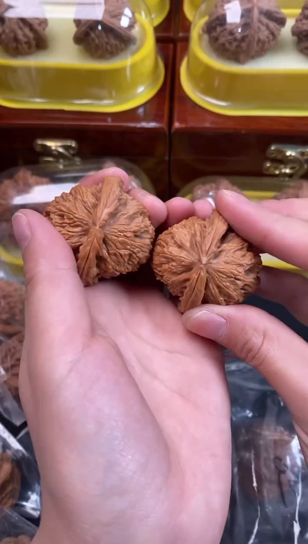 把件文玩核桃白狮子39尺Q630
