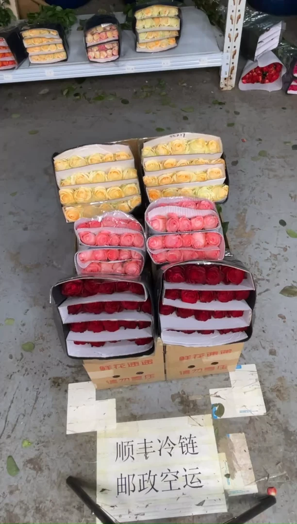 高原红20枝+戴安娜20枝+香槟20枝