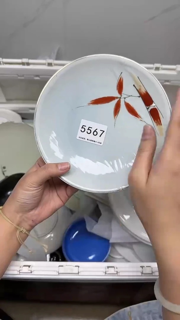 【闪购商品】5567回流瓷器默认微瑕，18.8包邮
