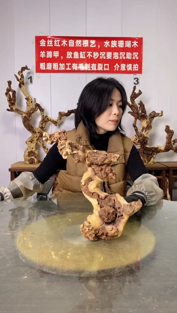 【闪购商品】木金丝红木 羊蹄甲