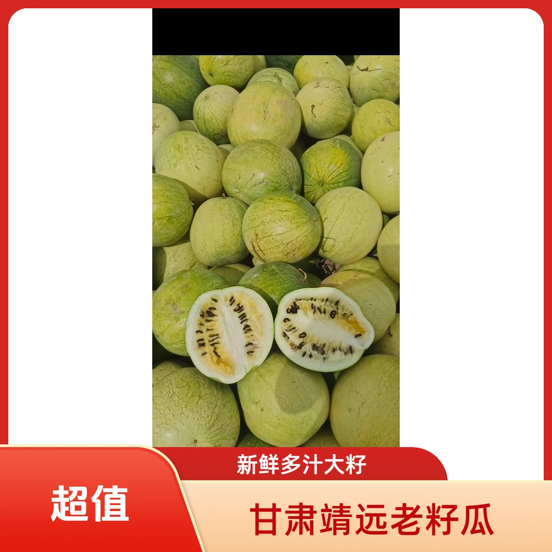 甘肃靖远高湾老籽瓜产地直发《大籽》