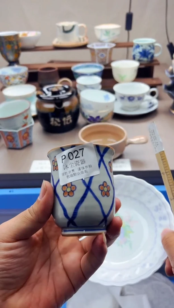 瓷片          P027