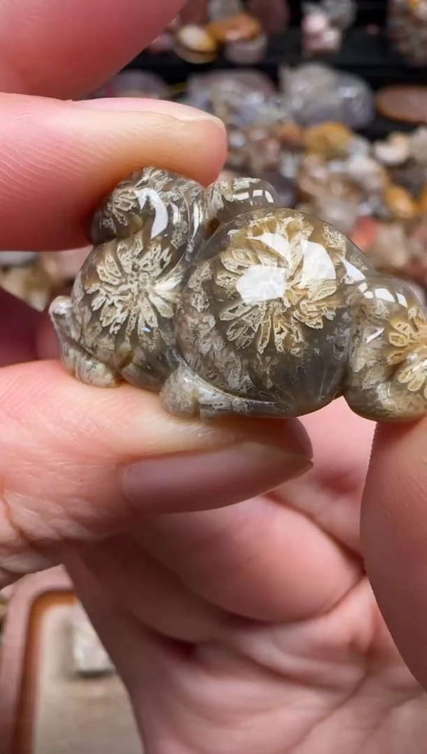 硅化珊瑚（珊瑚玉）未镶嵌颈饰178