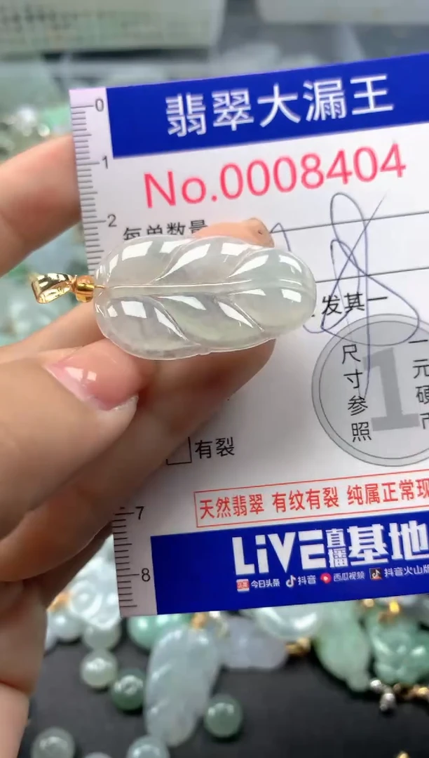 颈饰未镶嵌翡翠8404