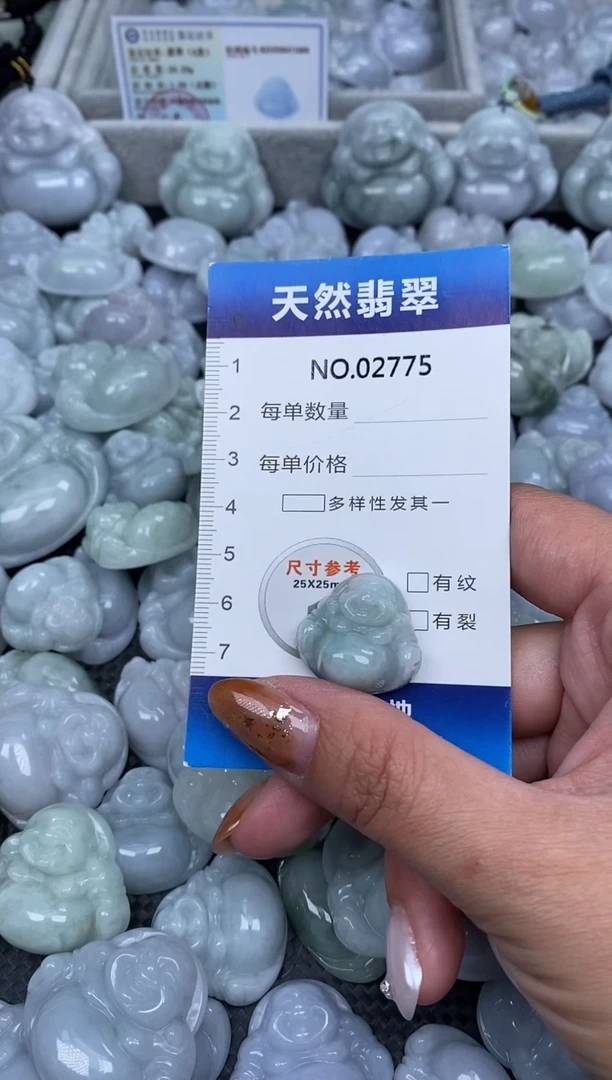 颈饰未镶嵌翡翠纯天然A货翡翠2775