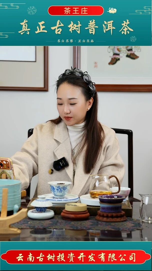 2022年易武国有林多依树高杆茶王单株古树头春熟茶