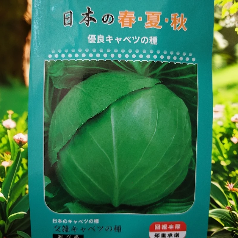 春夏秋甘蓝种子2000粒左右