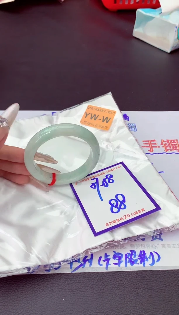 未镶嵌手镯翡翠11111111