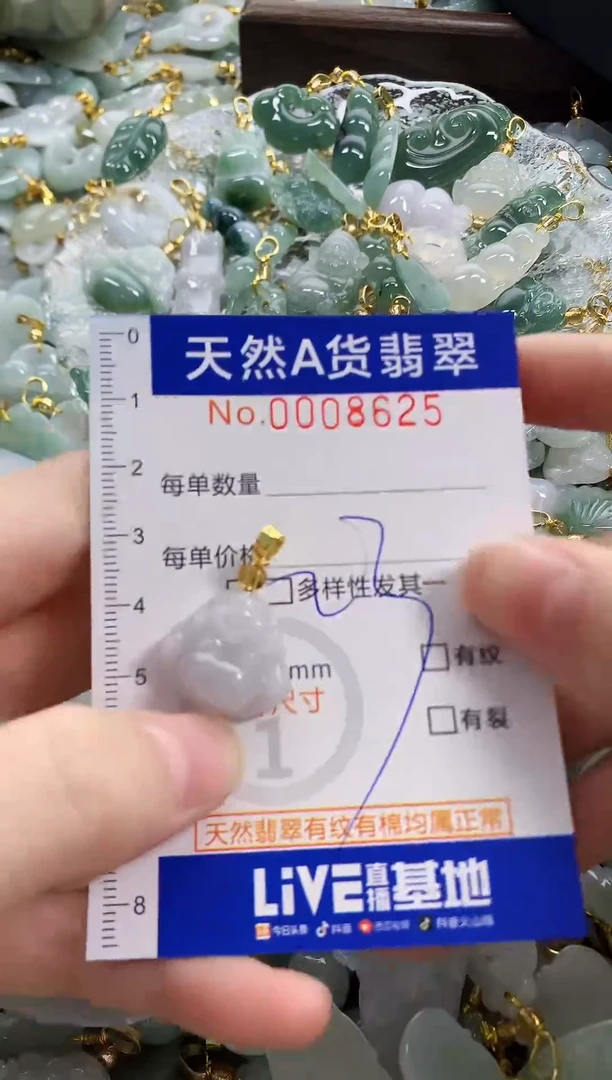 颈饰未镶嵌翡翠天然A货翡翠