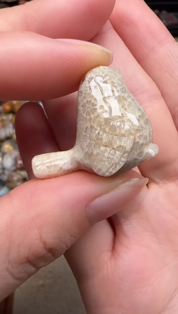 硅化珊瑚（珊瑚玉）未镶嵌颈饰374