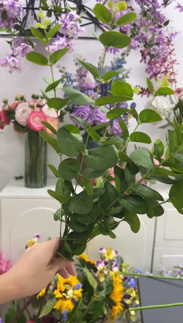 3枝手感尤加利叶