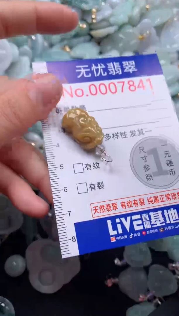 颈饰未镶嵌翡翠7841