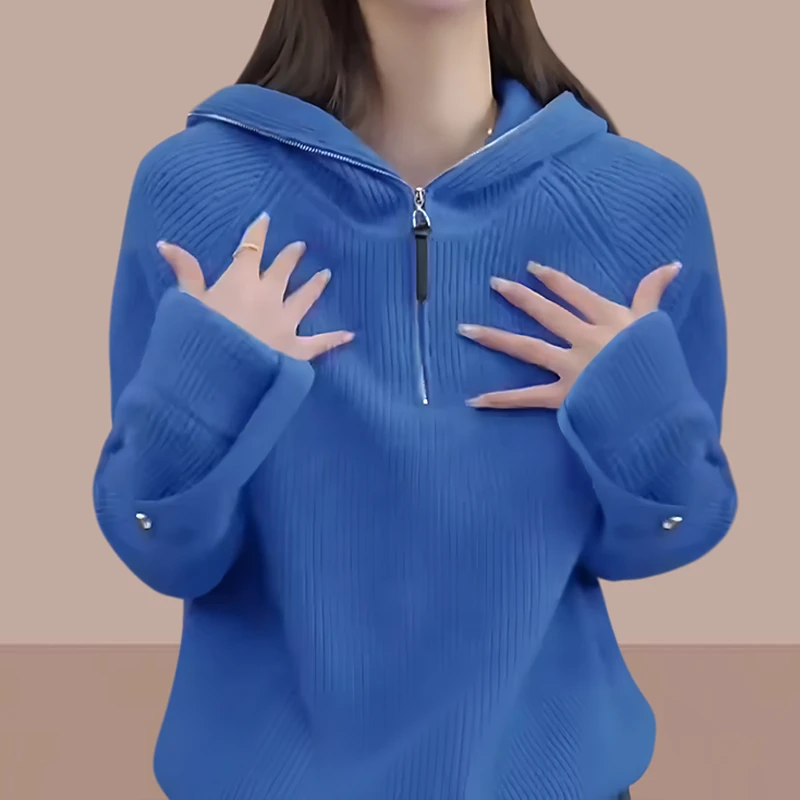 2025新款打底上衣网红款时尚连帽针织衫休闲百搭时尚克莱因蓝毛衣