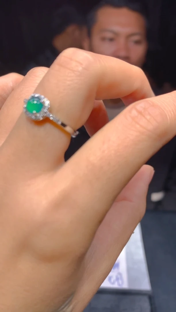 【闪购商品】定制翡翠未镶嵌1多样性发货（发其一）