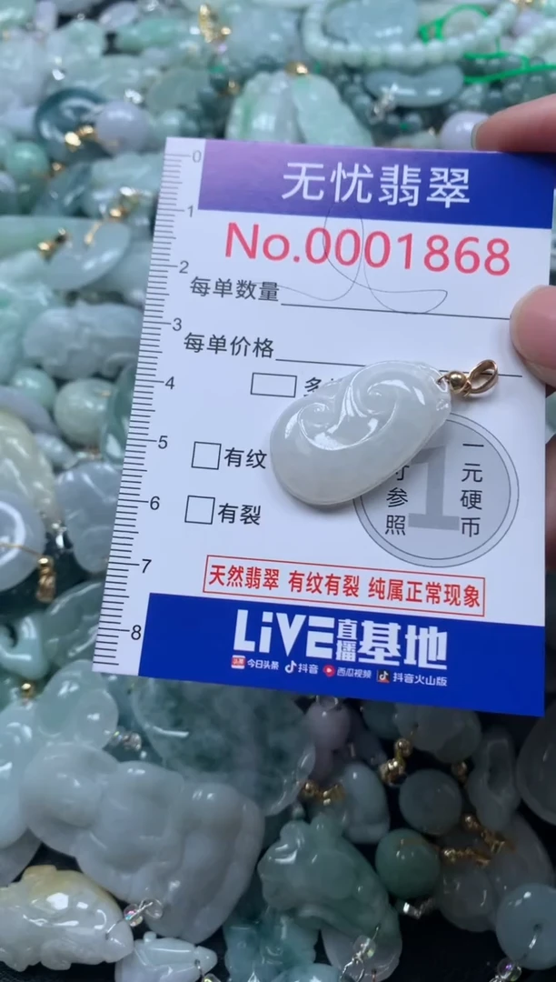 颈饰未镶嵌翡翠1868