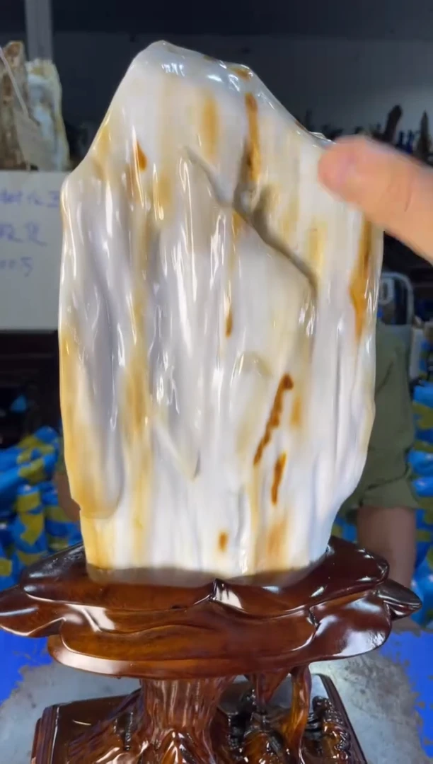 未镶嵌摆件硅化玉33