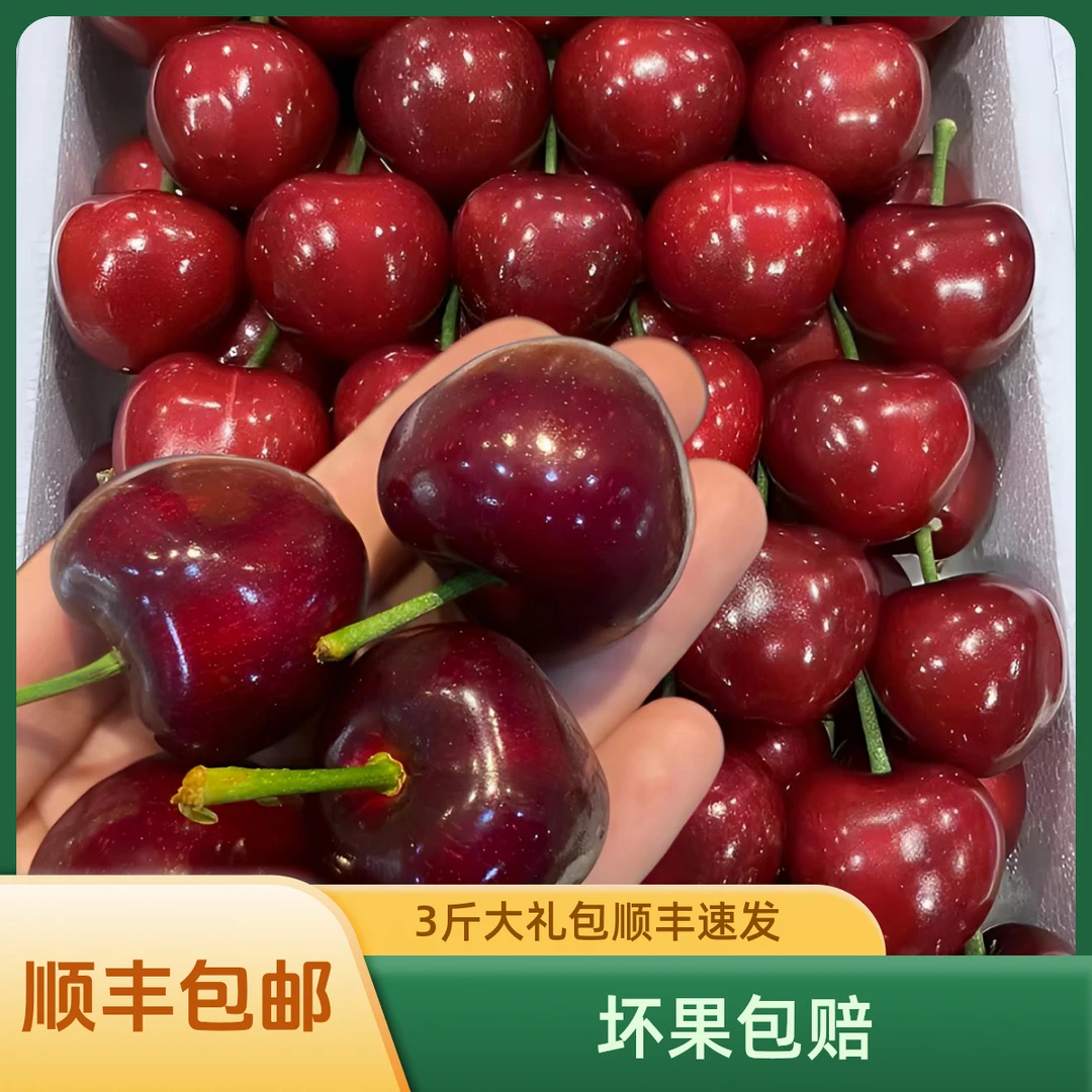 大连美早樱桃【3斤装】(净重2.5斤以上)坏果包赔 顺丰包邮2J-7J大连樱桃美早樱桃