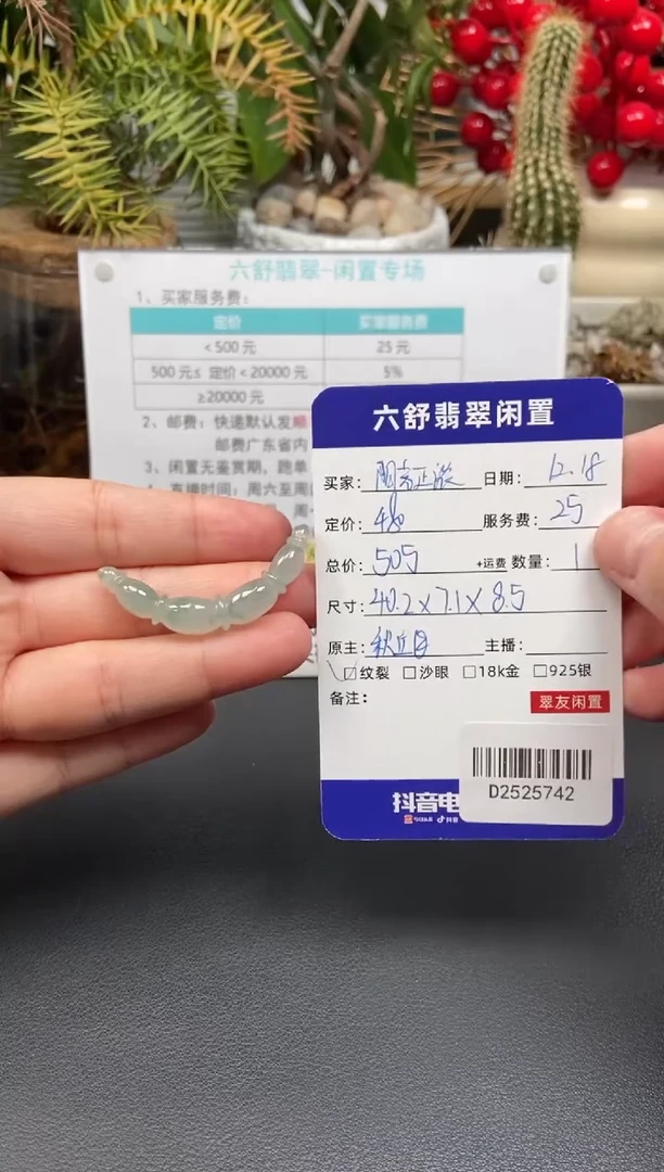 颈饰未镶嵌翡翠阳****eD2525742