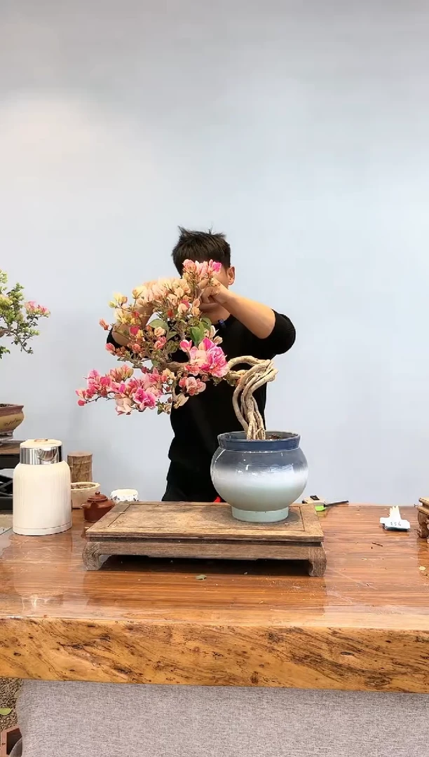 【闪购商品】aa930