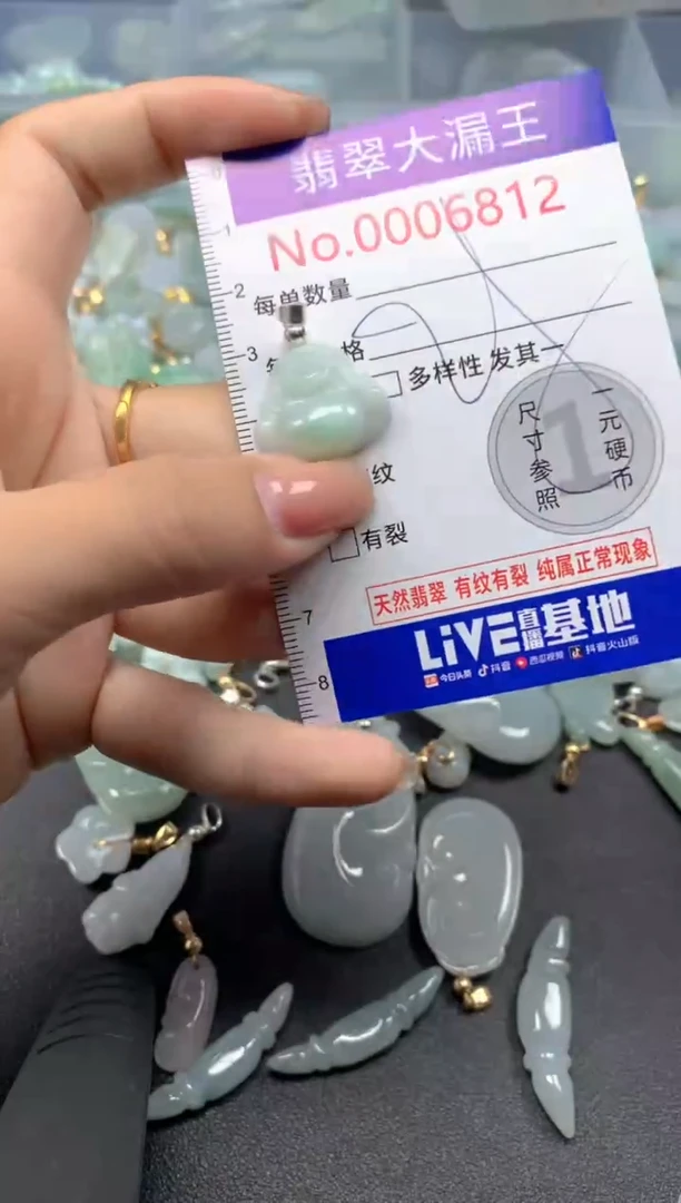 颈饰未镶嵌翡翠6812