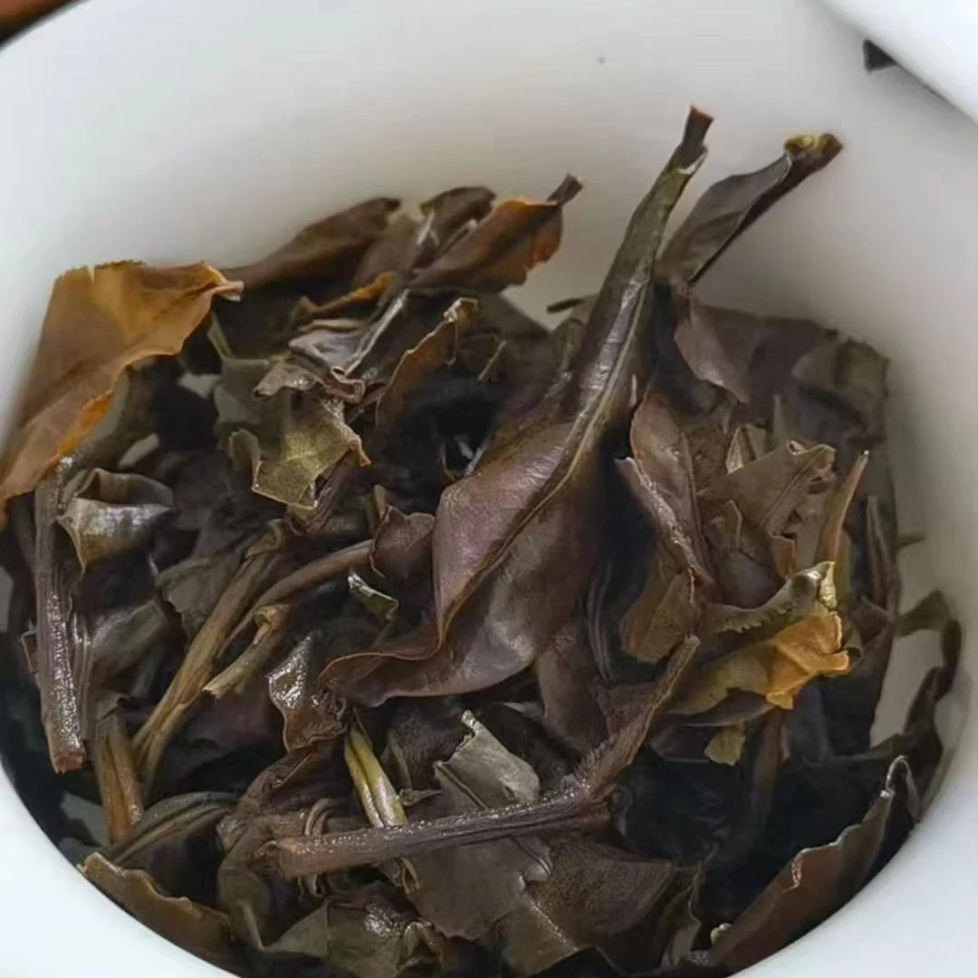 普洱茶  白茶 通用（2）