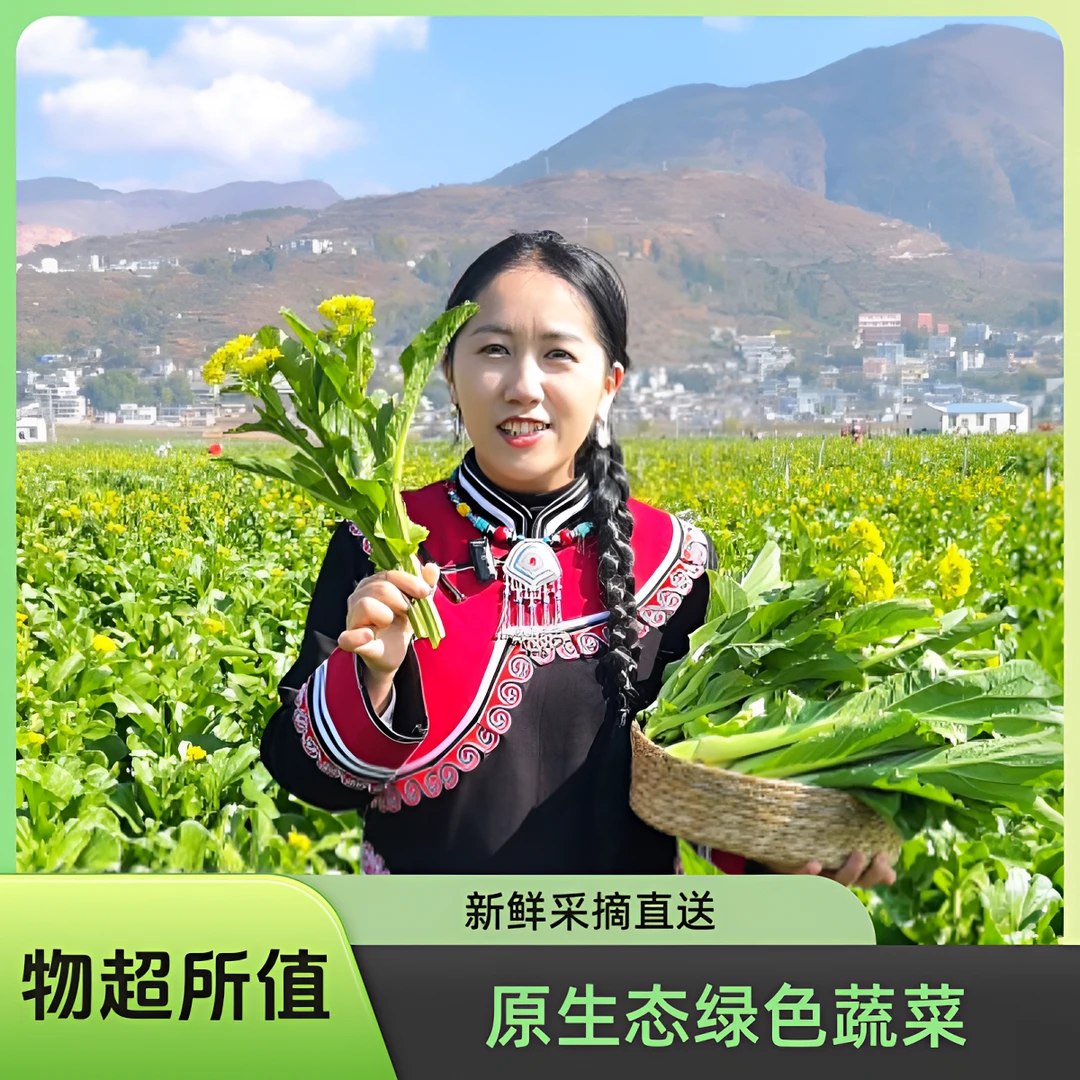 立农维康【甜杆龙芽菜苔 】净重4斤 高原露天种植软糯香甜顺丰包邮