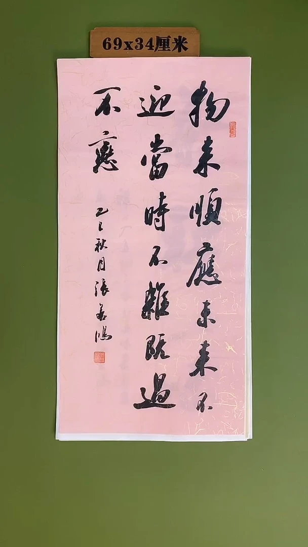 书法书法 张若鸿 尺寸69cm*34cm