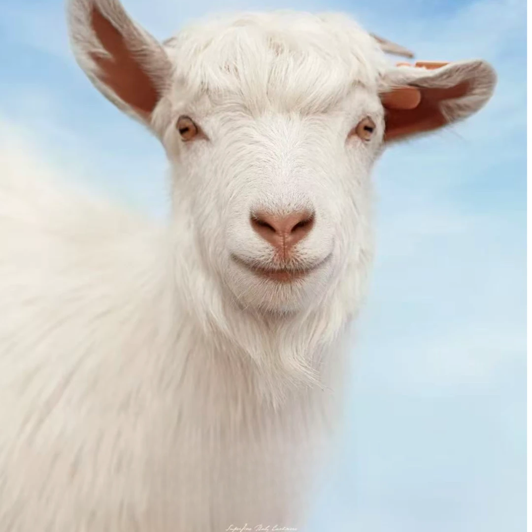 【新年盲盒厚款福利】100%山羊绒拉绒秋冬新款百搭宠粉福利