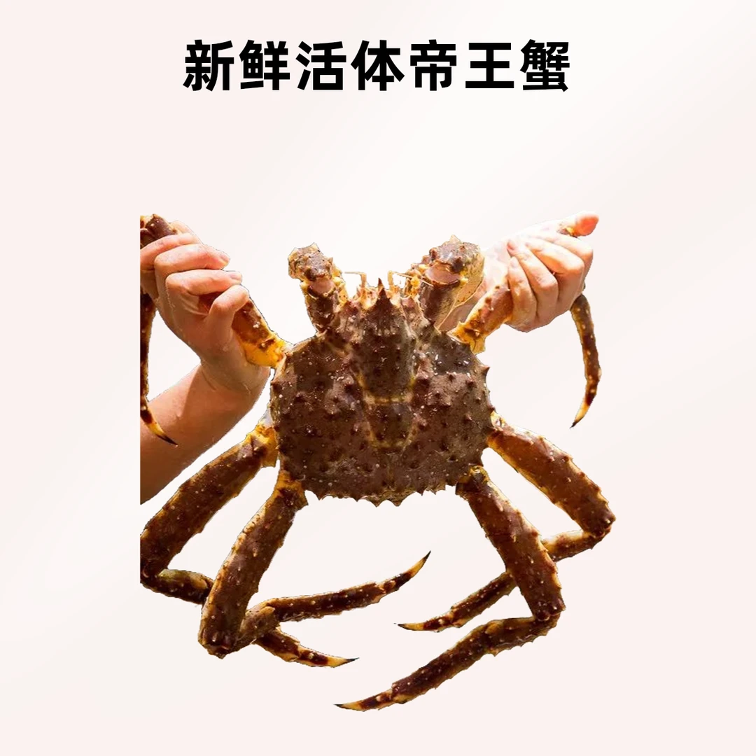 帝王蟹7斤左右
