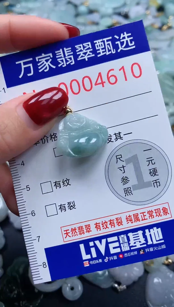 颈饰未镶嵌翡翠4610