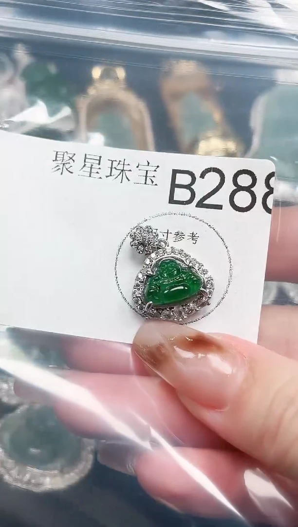 【闪购商品】翡翠颈饰未镶嵌 赠皮绳288