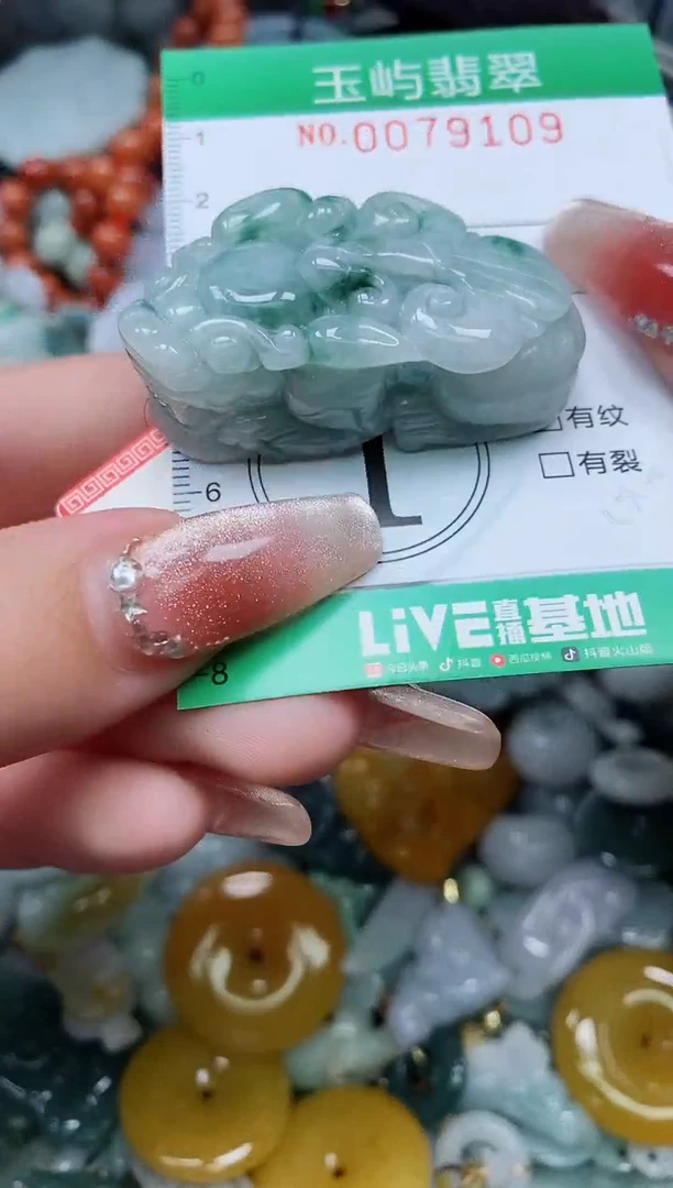 【闪购商品】翡翠颈饰未镶嵌闪购0079109