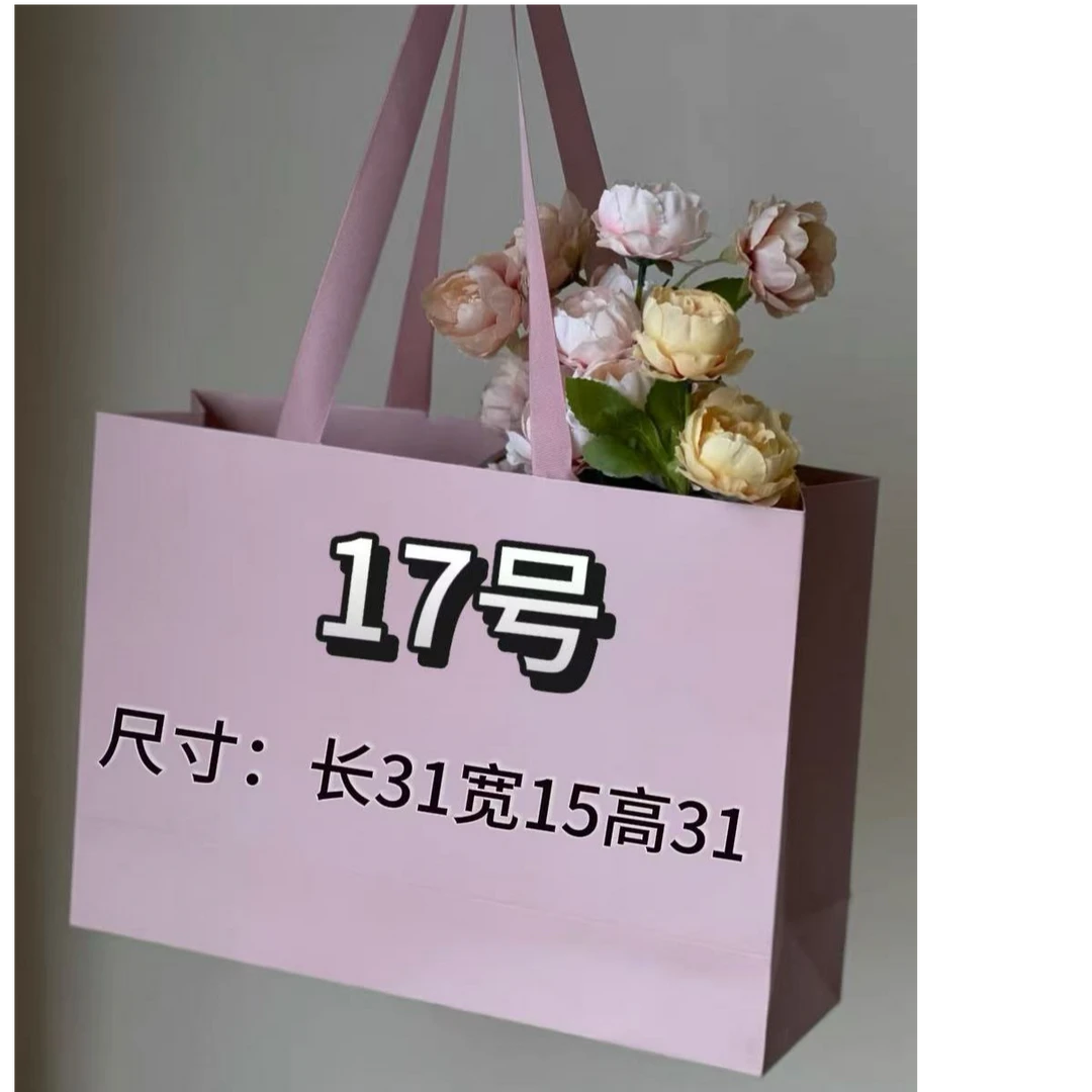 17号  经典百搭休闲运动大号双肩包  A307-2