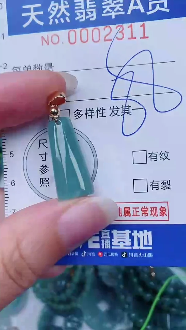 翡翠未镶嵌颈饰00002311