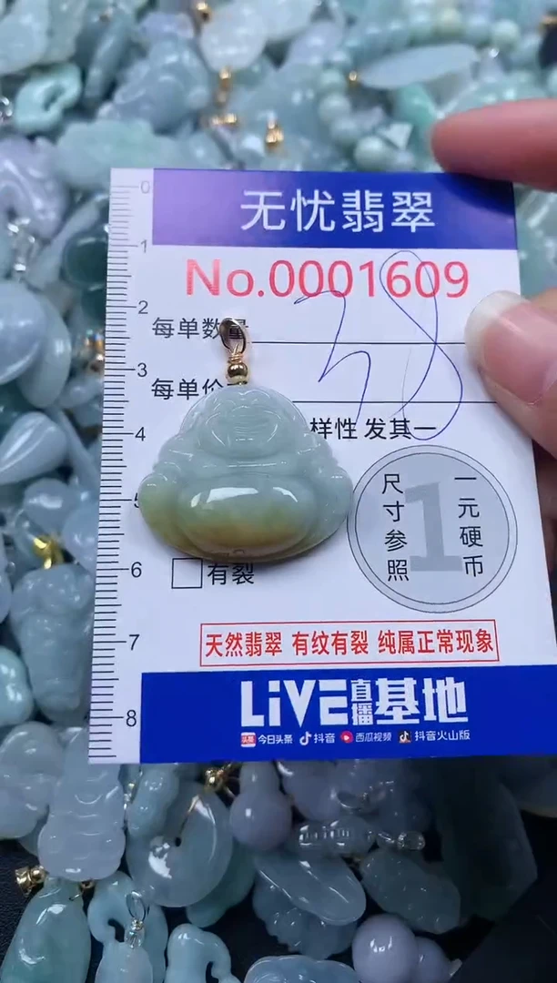颈饰未镶嵌翡翠1609