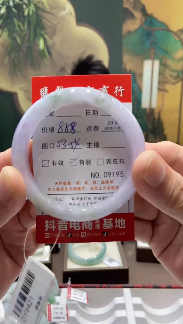 未镶嵌手镯翡翠9195******