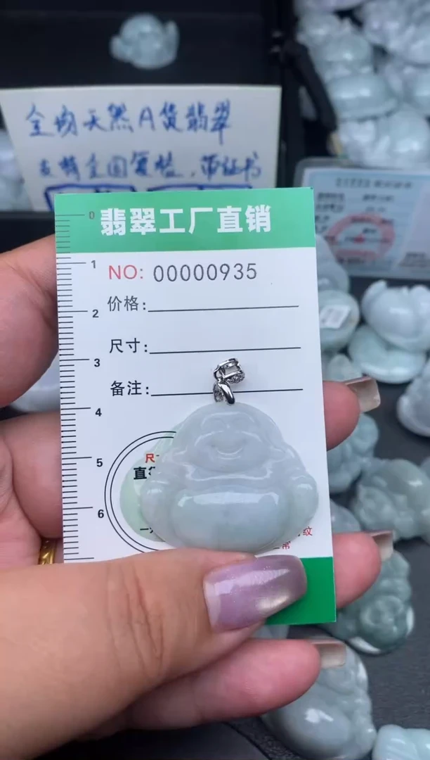 翡翠未镶嵌颈饰缅甸天然A货翡翠0935