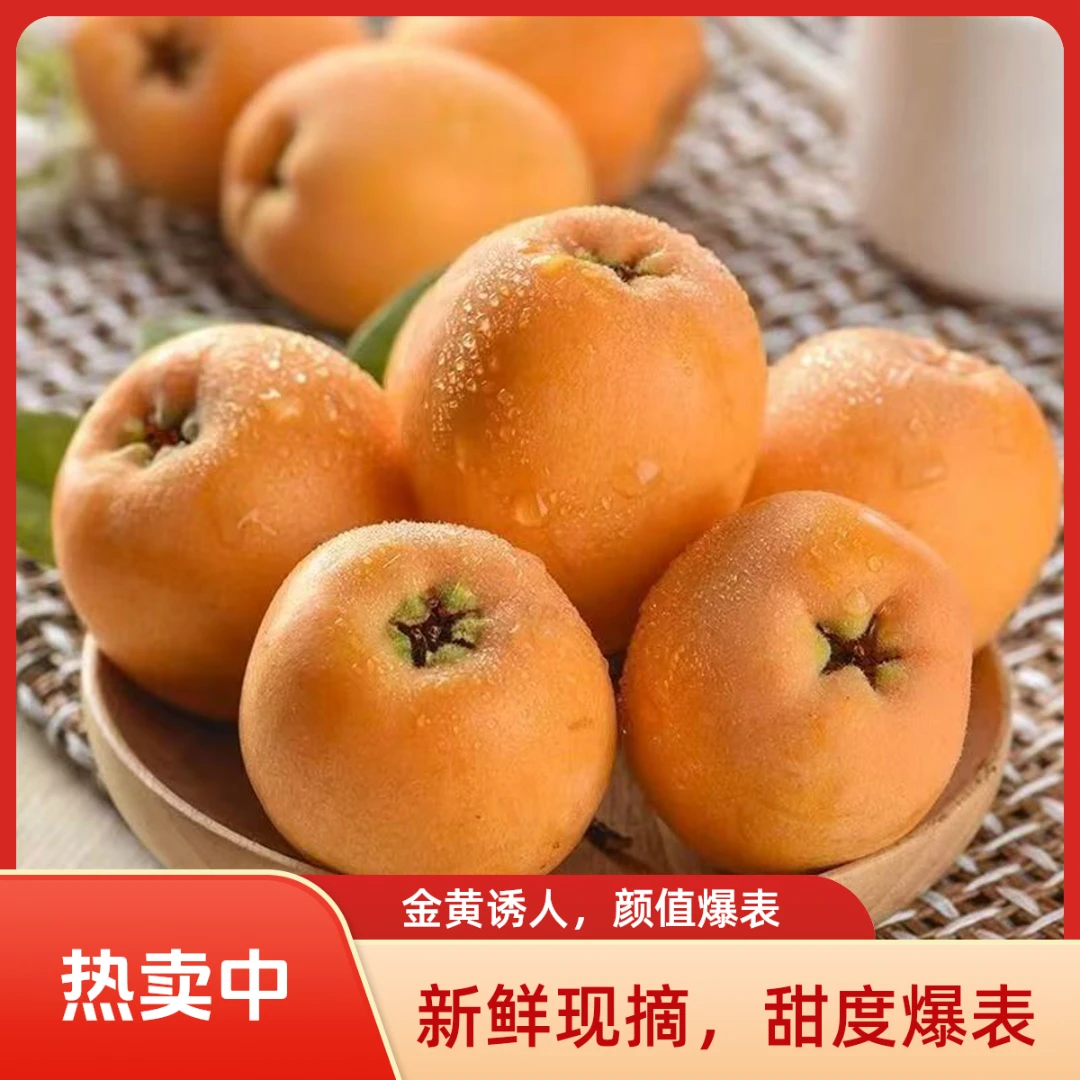 果王四川高山五星大枇杷大果酸甜多汁当季水果现摘现发京东快递