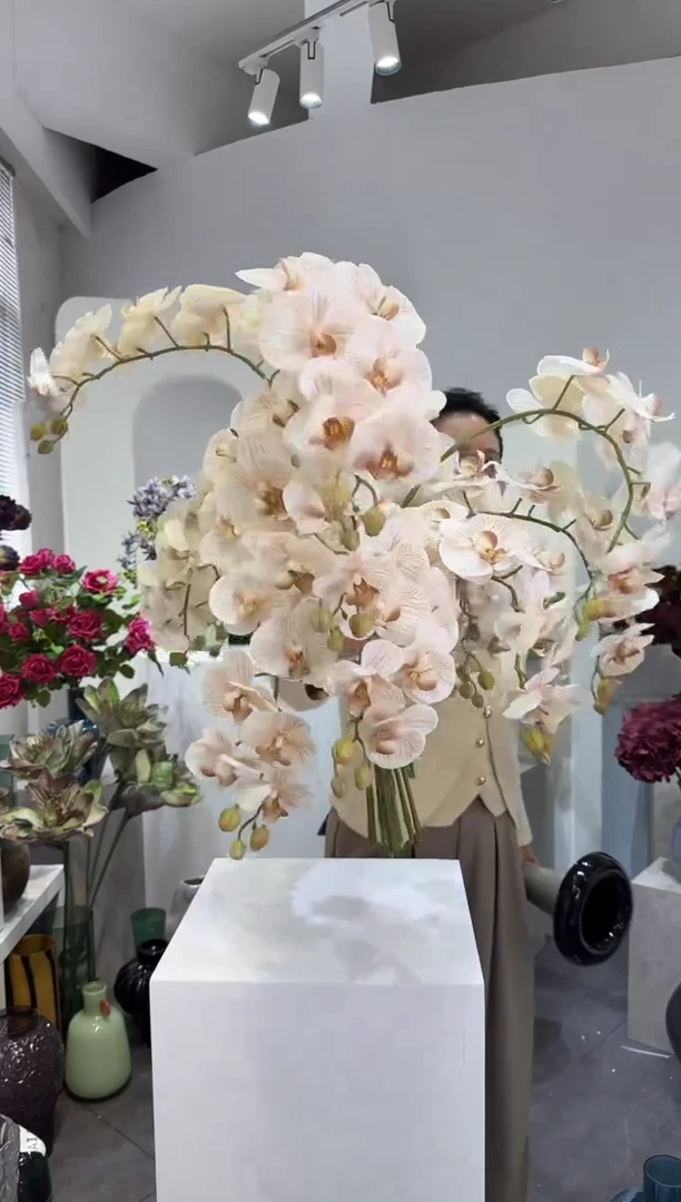 【闪购商品】藤10支奶茶色蝴蝶兰