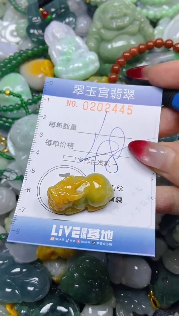 颈饰未镶嵌翡翠闪购C0202445