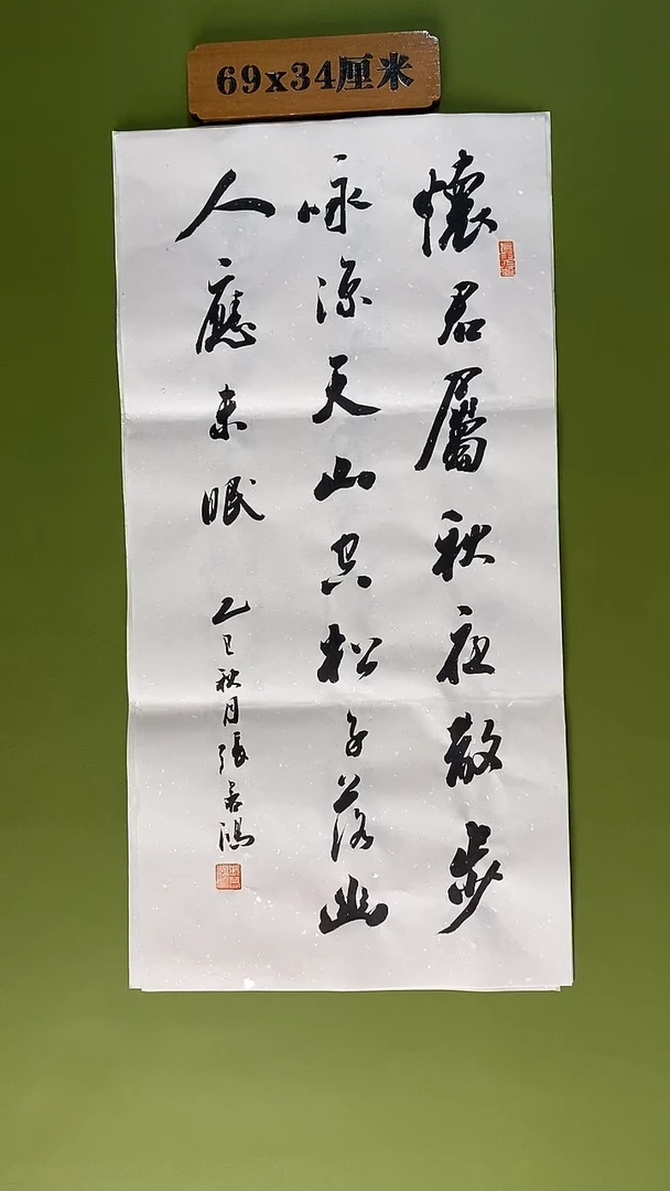 书法书法 张若鸿 尺寸34cm*45cm