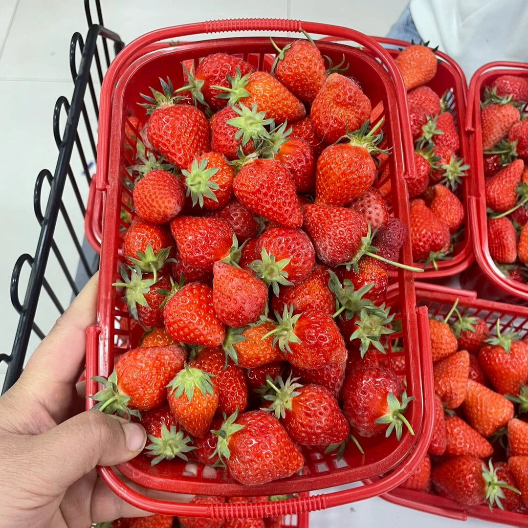 中号红颜草莓（900克一筐）新疆维吾尔自治区和田地区和田市