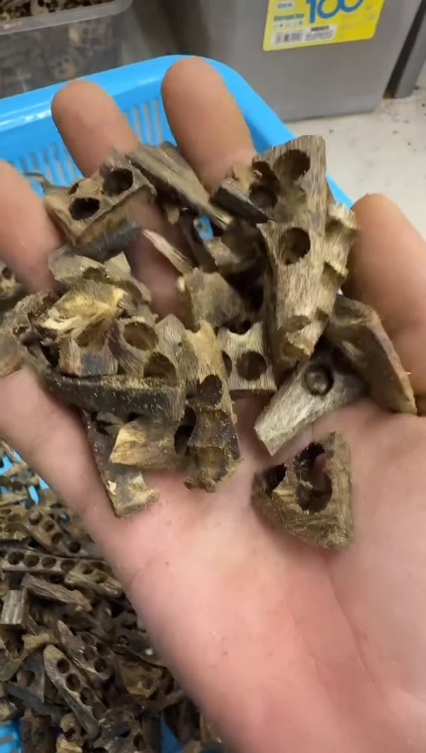 沉香沉香碎屑绿奇楠沉香钻台孔料100克