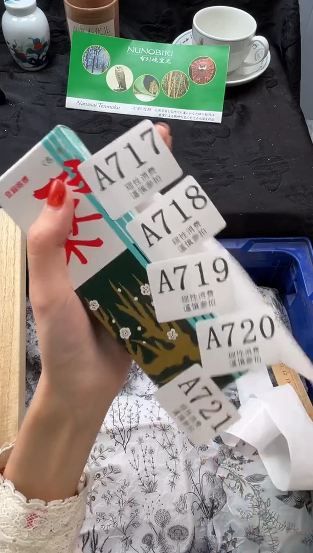 瓷片       A719