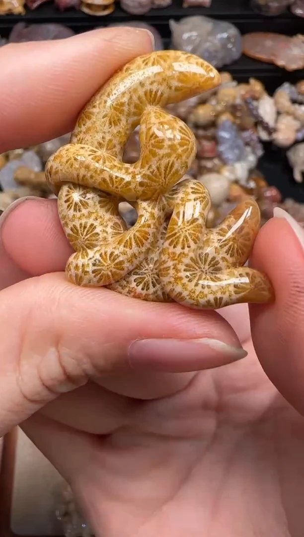 硅化珊瑚（珊瑚玉）未镶嵌颈饰196