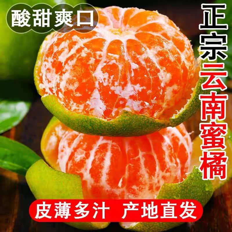 正宗云南高山青皮蜜橘桔子当季新鲜水果早熟橘子