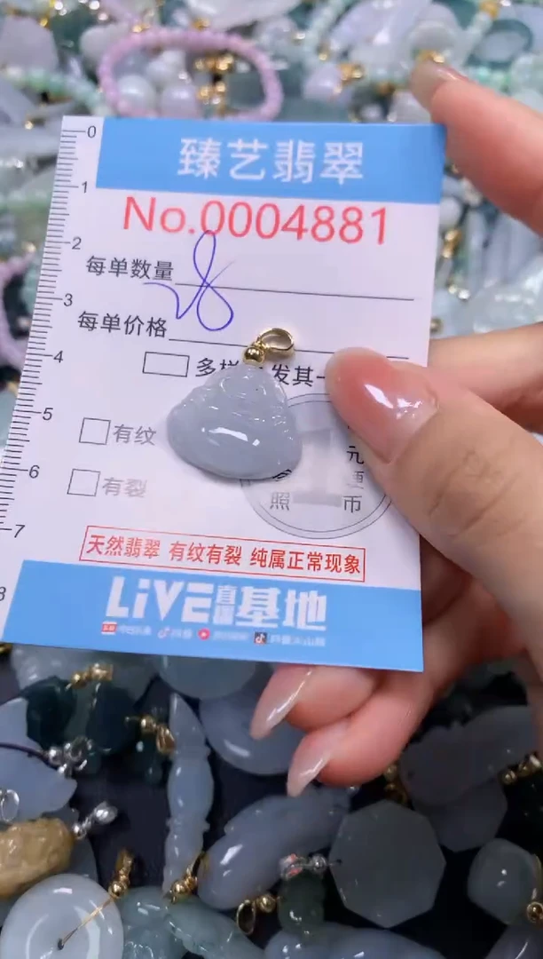 颈饰未镶嵌翡翠4881