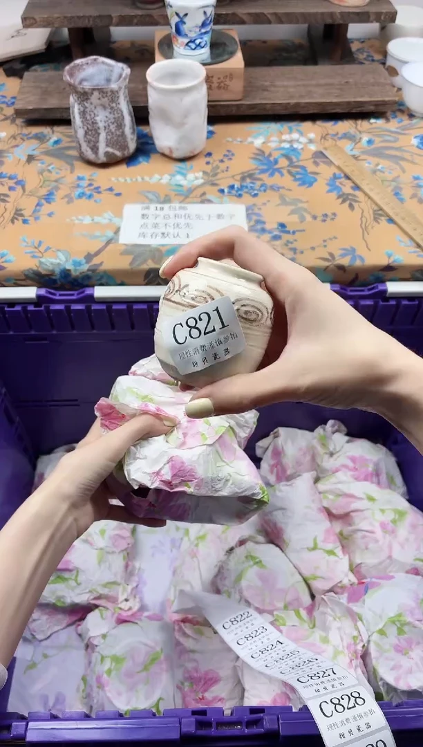 瓷片穿***猫                C821