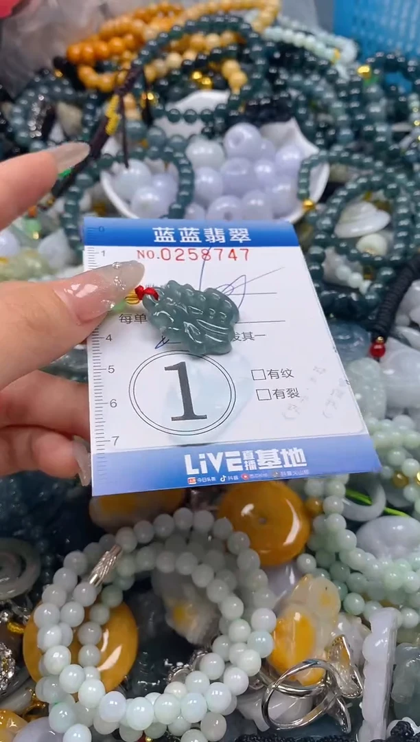 翡翠未镶嵌颈饰闪购0258747多样性发其一