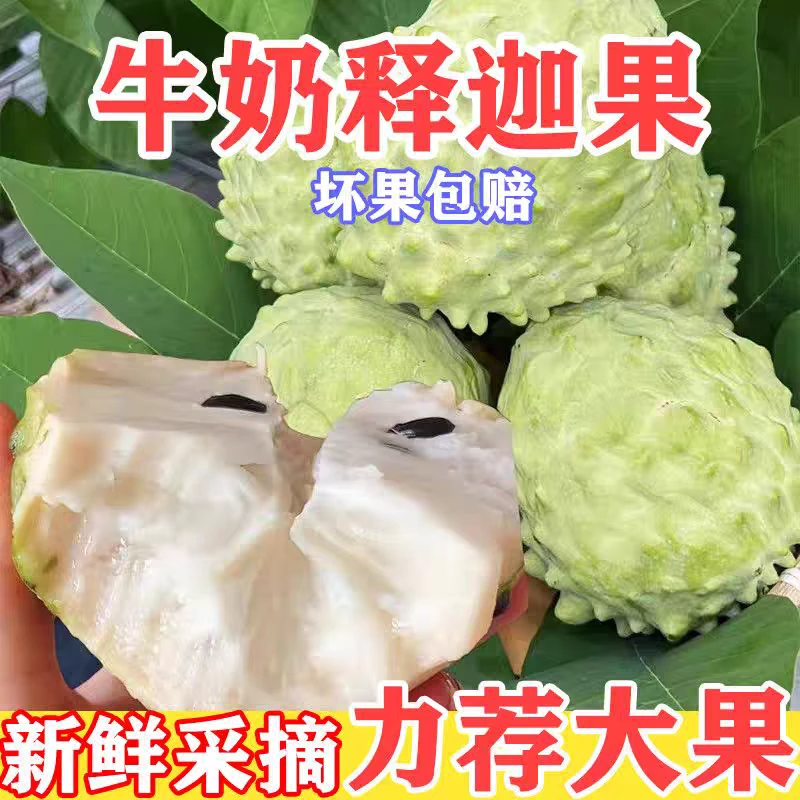 海南牛奶凤梨释迦果大果当季孕妇水果现摘现发番荔枝（送货上门）